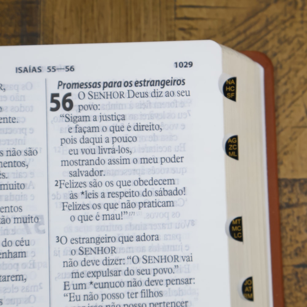 Bíblia Sagrada | Letra Gigante | NTLH | Capa Marrom Claro | Com Índice