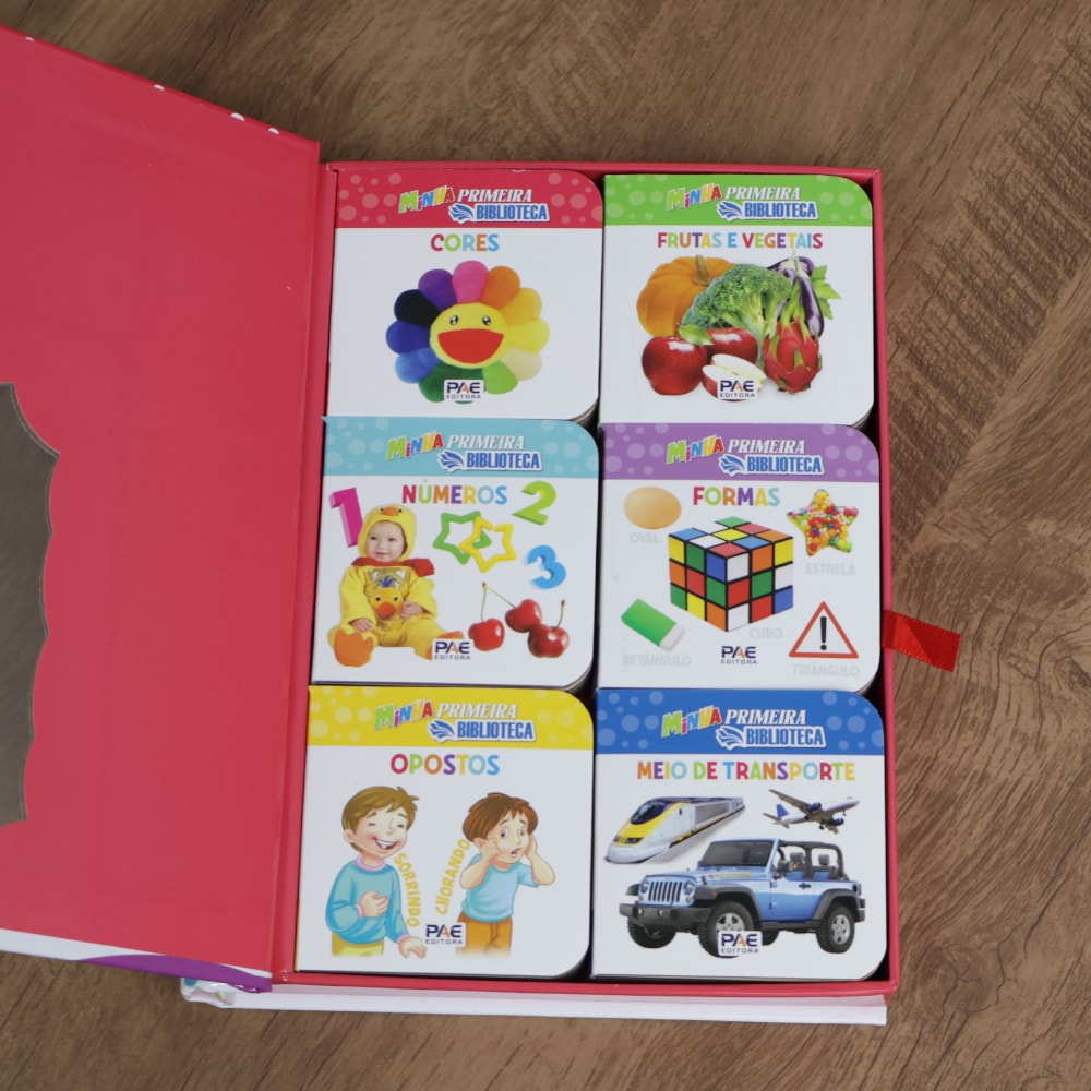 Minha Primeira Biblioteca | Box com 6 Mini Livros
