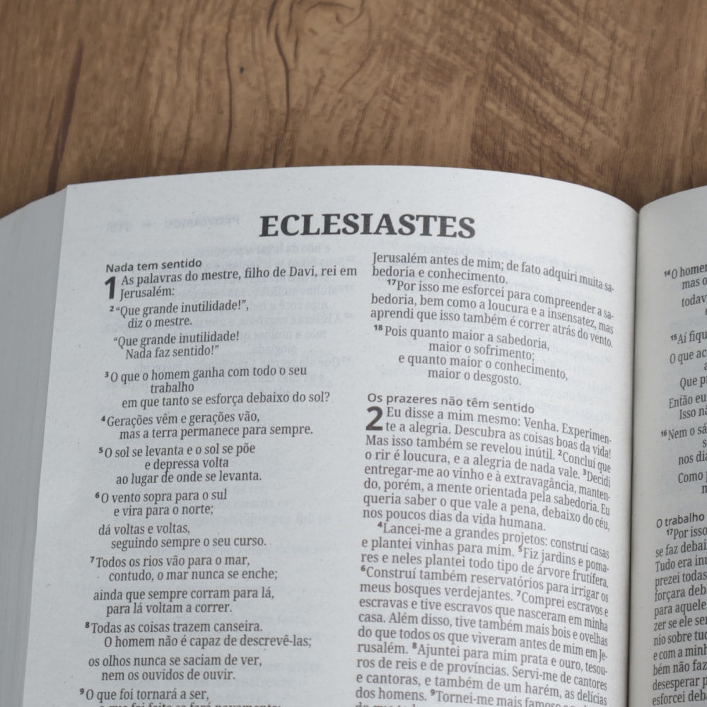 Bíblia Sagrada Salvos Pela Graça Normal | NVI | Letra Normal | Capa Brochura