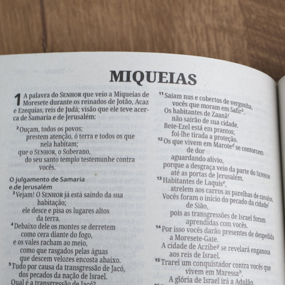Bíblia Sagrada Trigo | NVI | Letra Normal | Capa Brochura