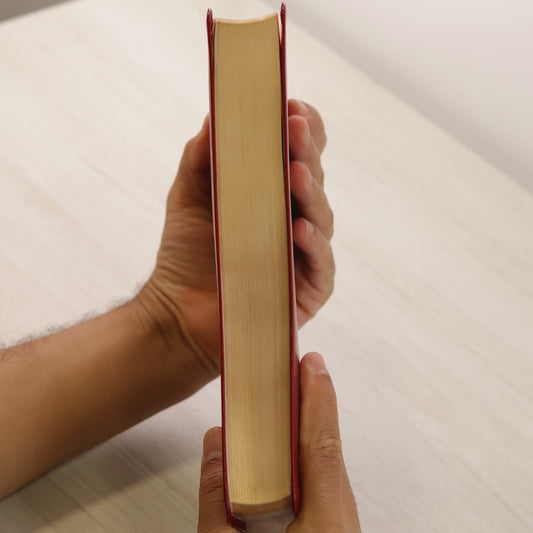 Bíblia Sagrada Leitura Perfeita | NVI | Letra Gigante | Capa Couro Soft Vinho