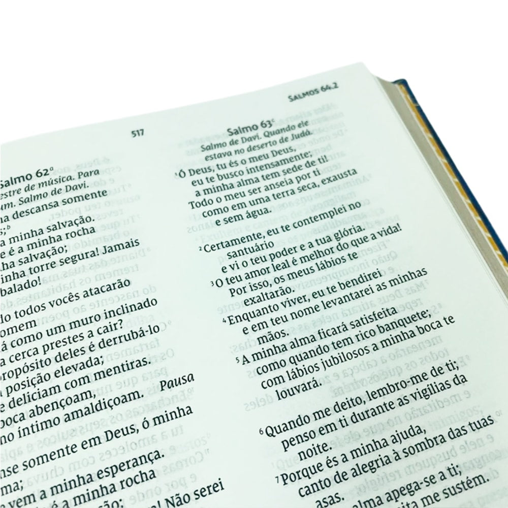 Bíblia Sagrada Abstrata | NVI | Letra Grande | Leitura Perfeita | Couro Soft Azul Capa Dura