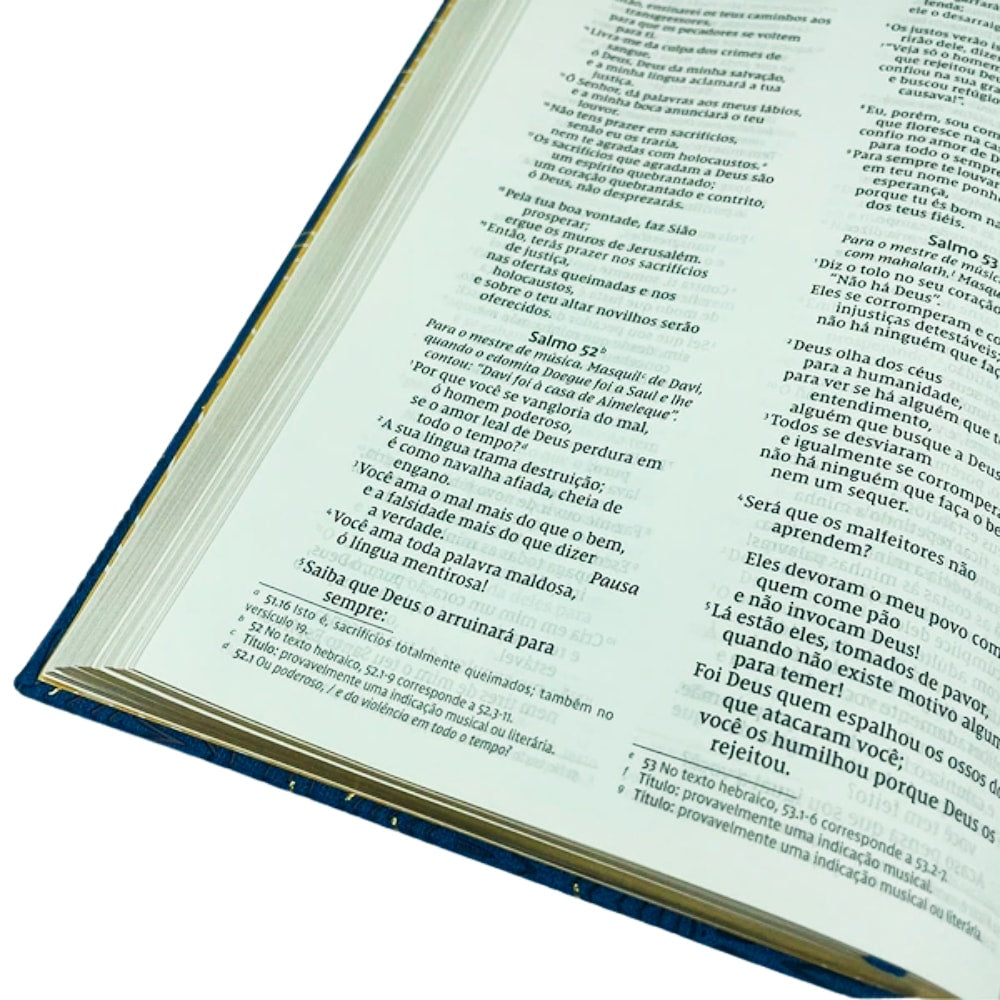 Bíblia Sagrada Abstrata | NVI | Letra Grande | Leitura Perfeita | Couro Soft Azul Capa Dura