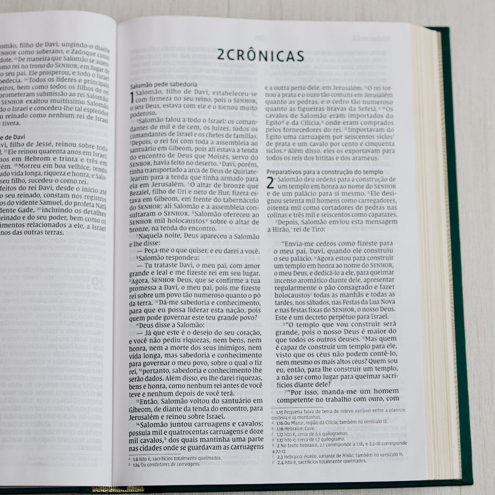 Bíblia Sagrada | NVI | Letra Grande | Capa Dura | Flor Minimalista