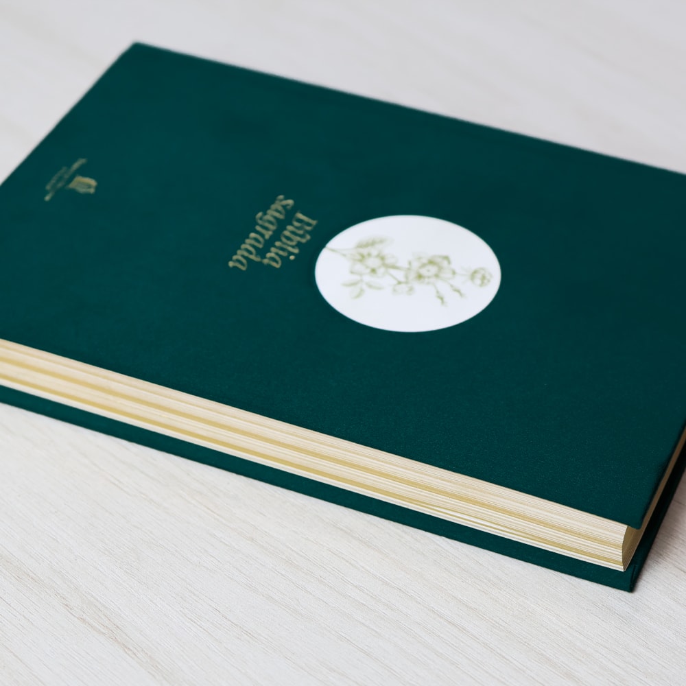 Bíblia Sagrada | NVI | Letra Grande | Capa Dura | Flor Minimalista