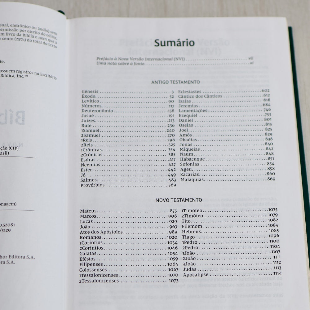 Bíblia Sagrada | NVI | Letra Grande | Capa Dura | Flor Minimalista