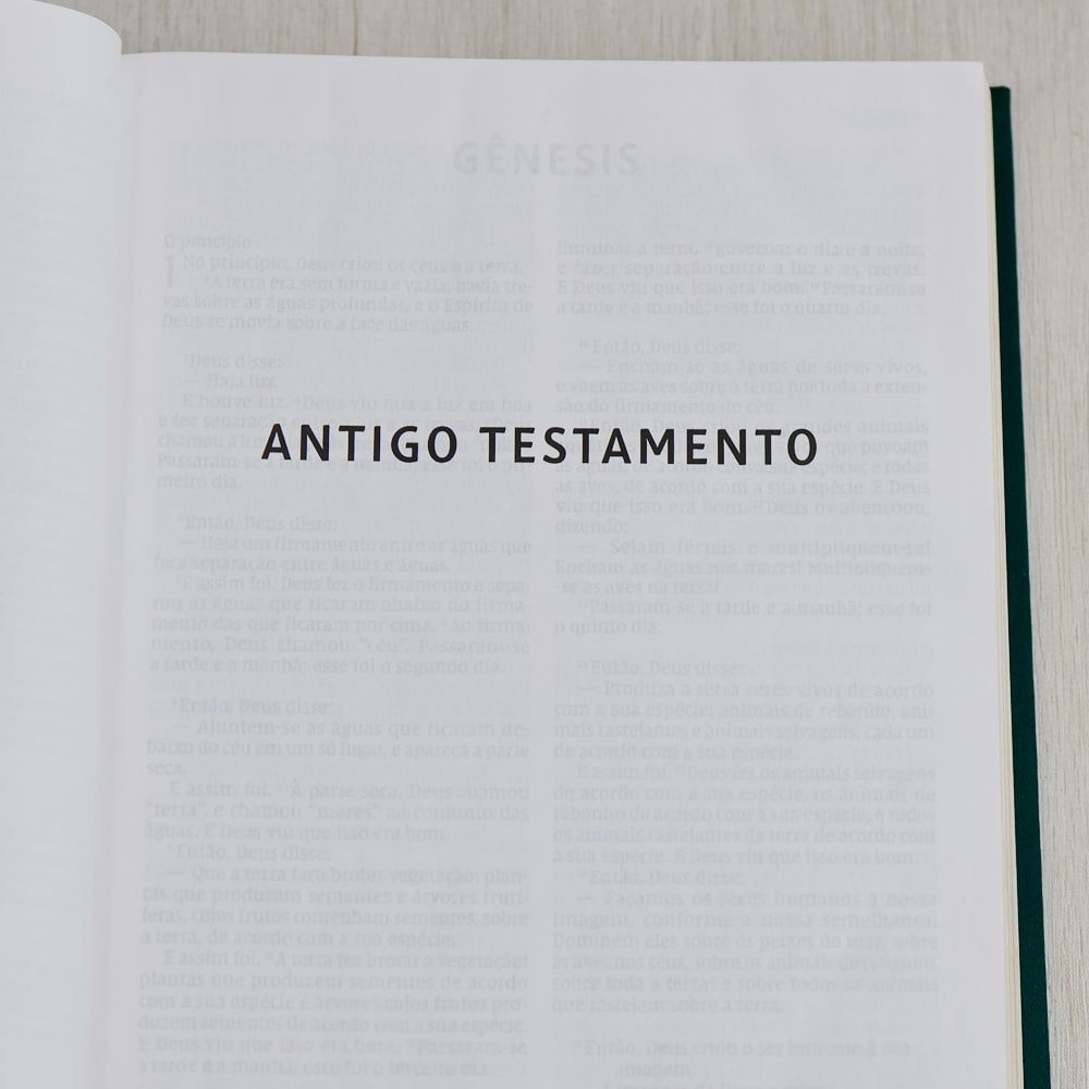 Bíblia Sagrada | NVI | Letra Grande | Capa Dura | Flor Minimalista