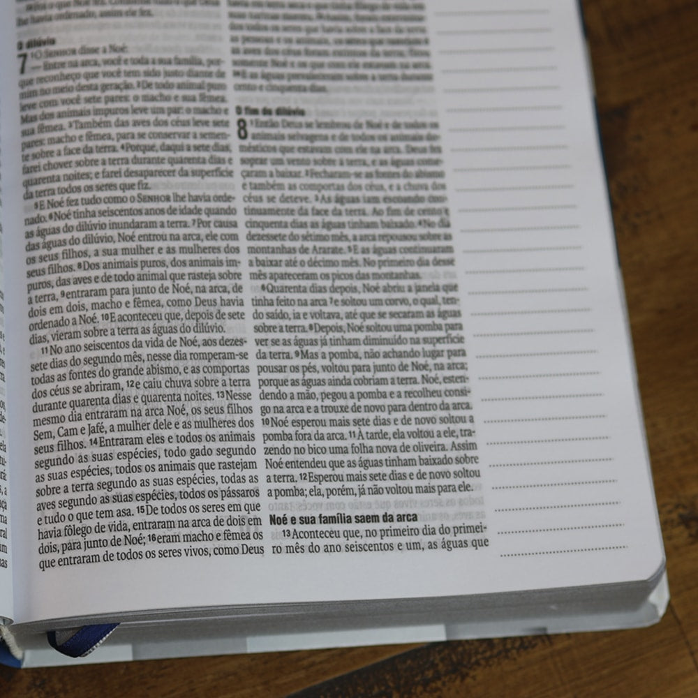 Bíblia Sagrada | NAA | Letra Grande | Edição para Estudo Com Espaço Para Anotações