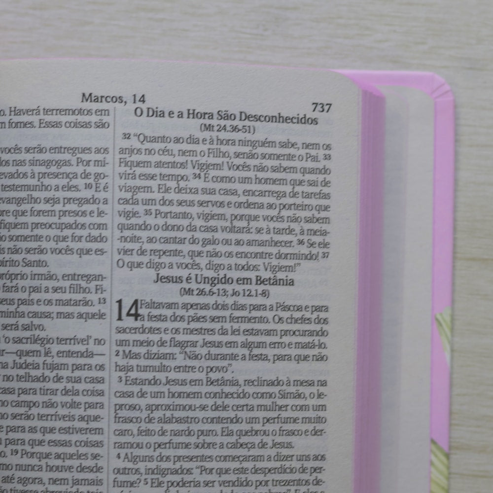 Bíblia Sagrada Lírios | NVI | Letra Maior | Capa Dura Rosa