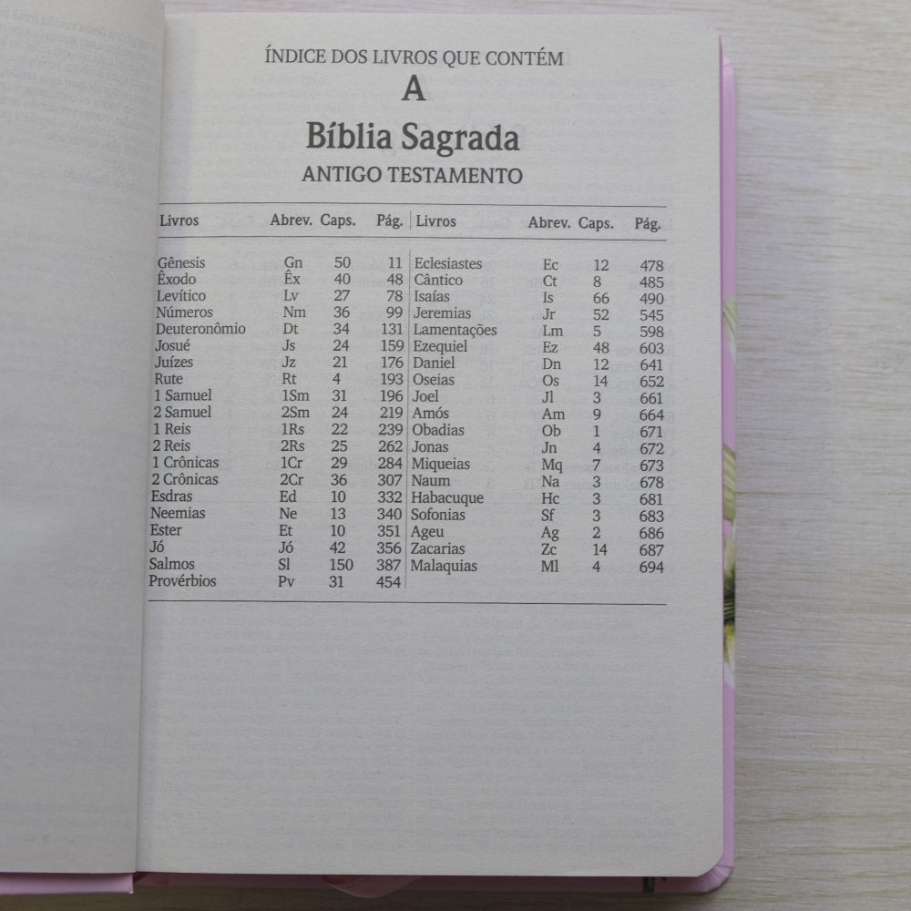Bíblia Sagrada Lírios | NVI | Letra Maior | Capa Dura Rosa