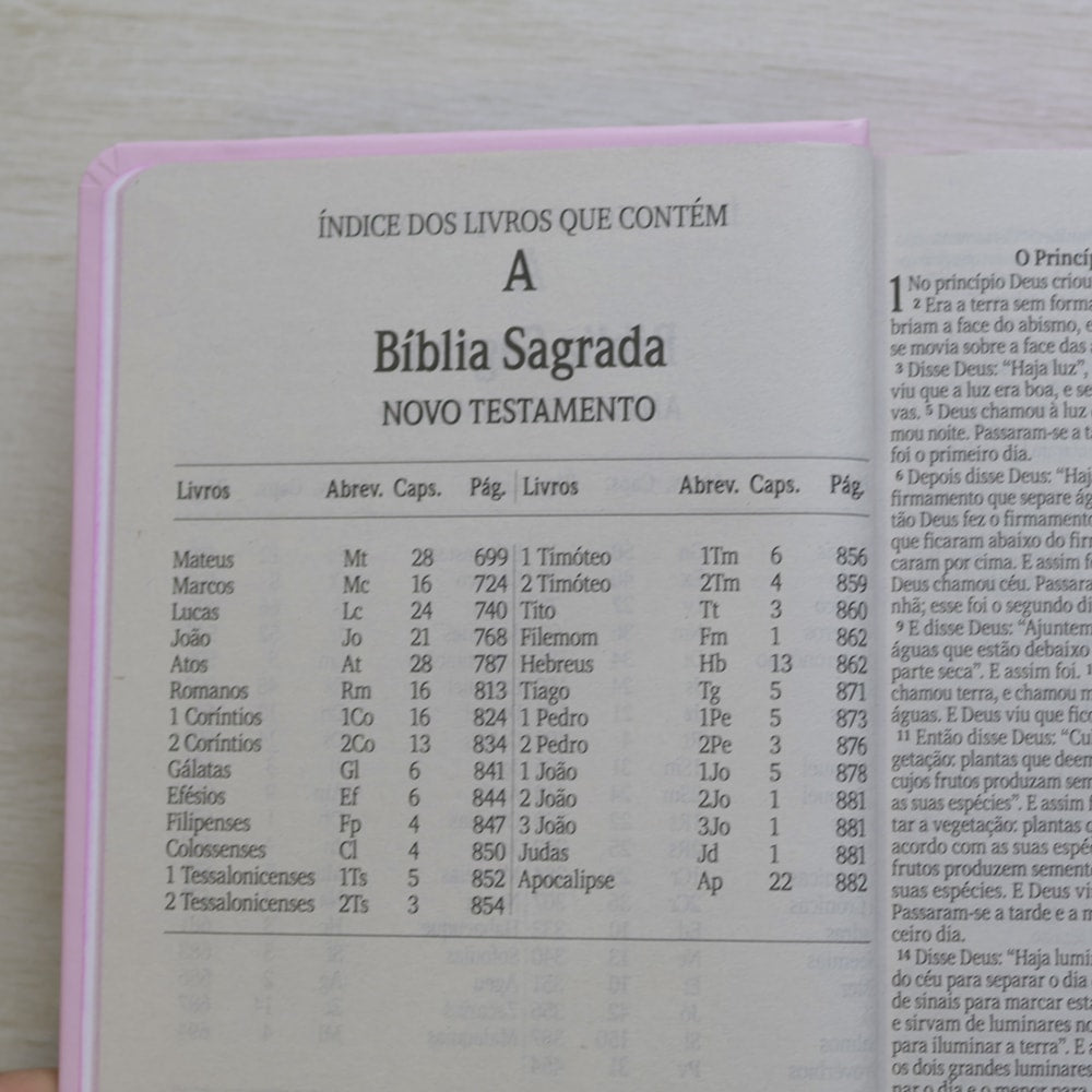 Bíblia Sagrada Lírios | NVI | Letra Maior | Capa Dura Rosa