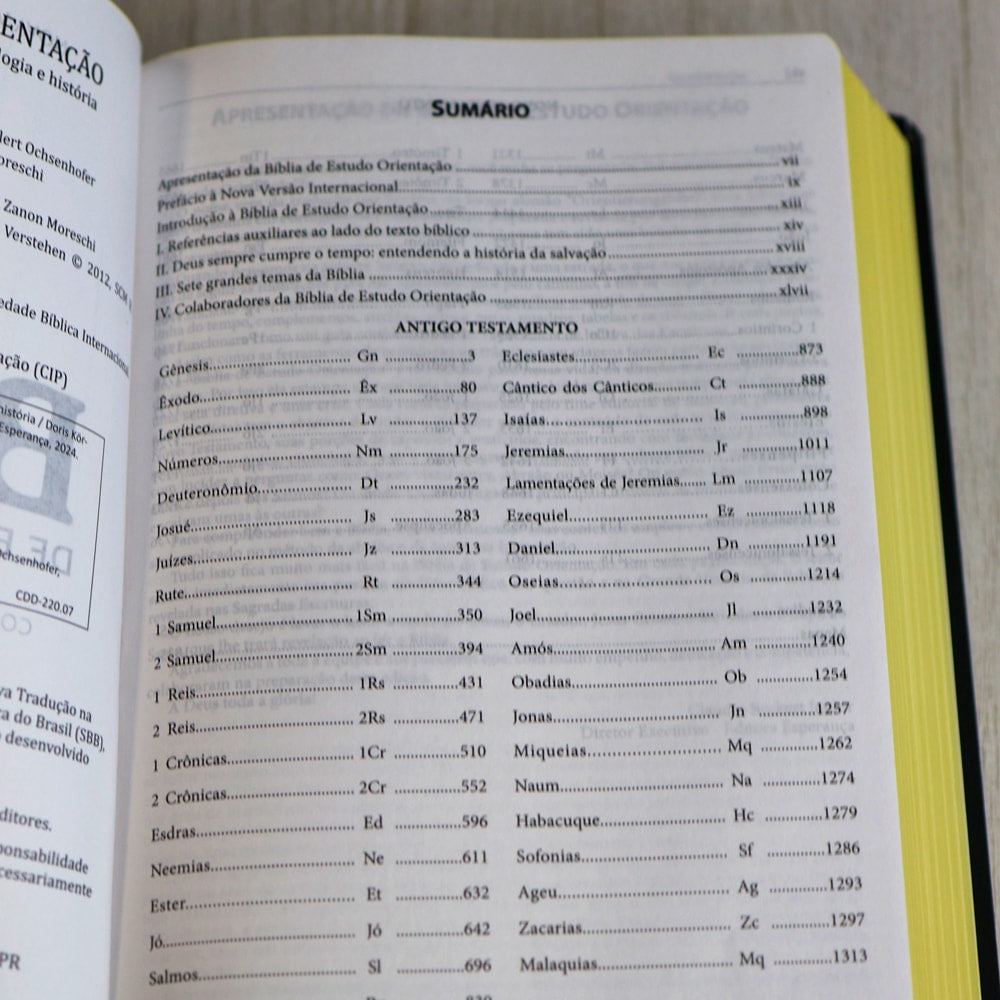 Bíblia Estudo Orientação | NVI | Letra Normal | Capa Black