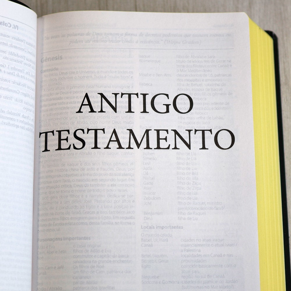 Bíblia Estudo Orientação | NVI | Letra Normal | Capa Black