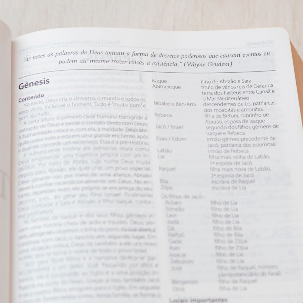 Bíblia Estudo Orientação | NVI | Letra Normal | Capa Rose Gold