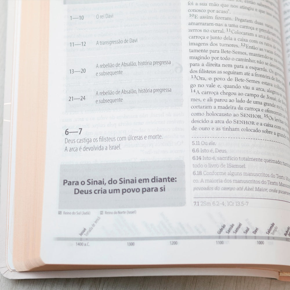 Bíblia Estudo Orientação | NVI | Letra Normal | Capa Rose Gold
