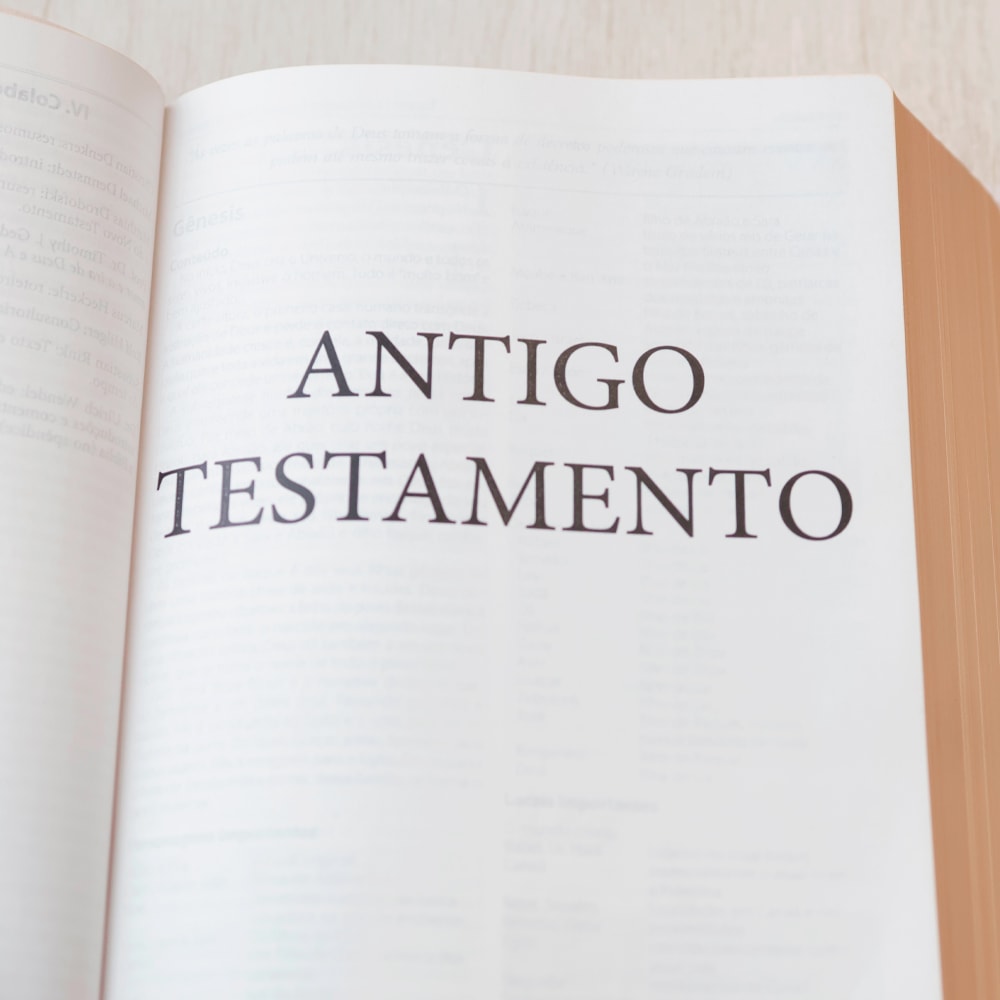 Bíblia Estudo Orientação | NVI | Letra Normal | Capa Rose Gold