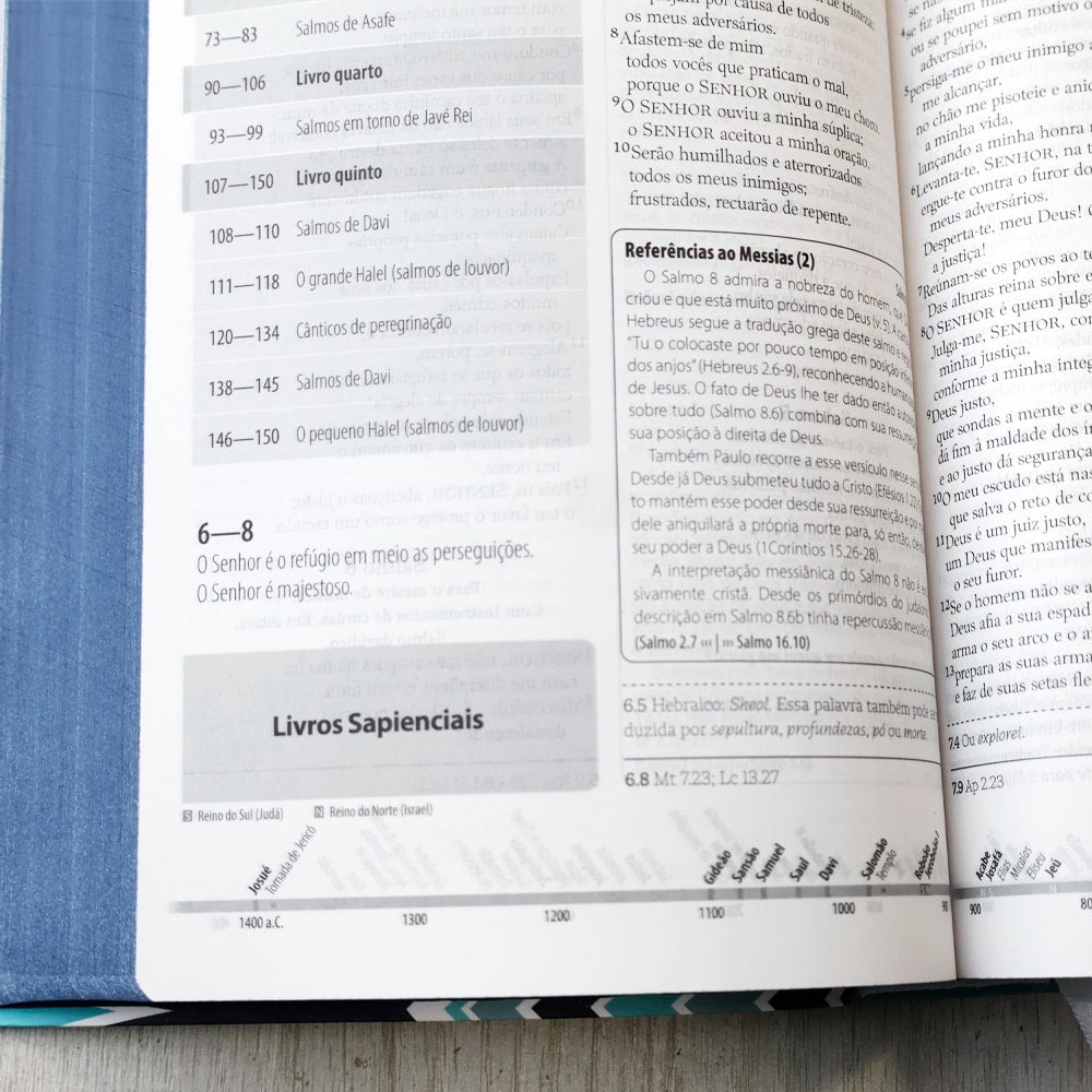 Bíblia Estudo Orientação | NVI | Letra Normal | Capa Blue Waves
