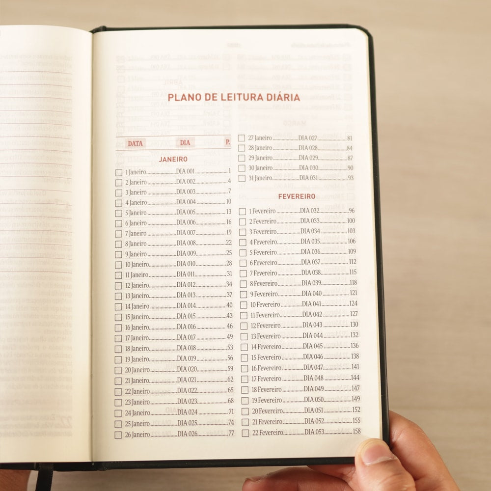 Bíblia Todo Dia com Espaço para Anotações | AM | Letra Normal | Capa Dura Let It Burn