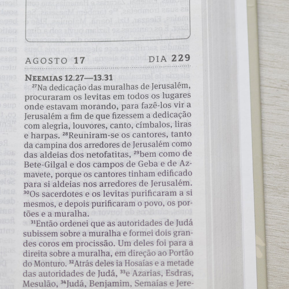 Bíblia 365 Amor Perfeito | NAA | Letra Grande | Capa Dura
