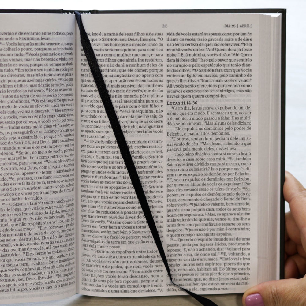 Bíblia 365 Tradicional | NAA | Letra Grande | Capa Dura