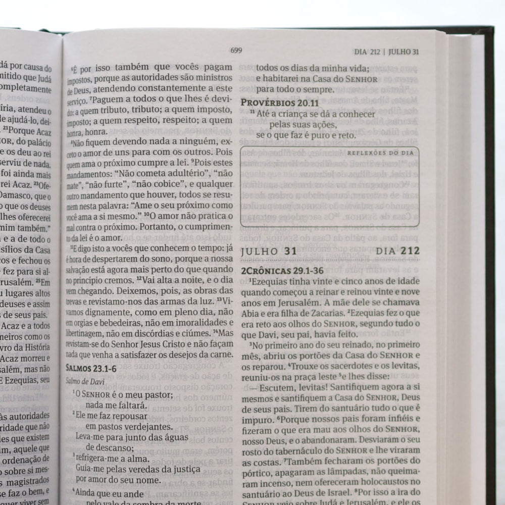 Bíblia 365 Tradicional | NAA | Letra Grande | Capa Dura