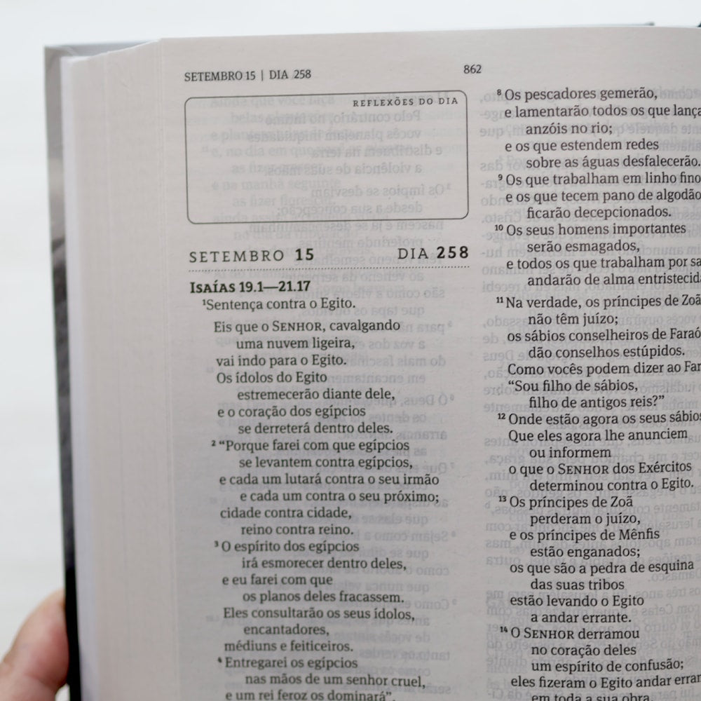 Bíblia 365 Leão | NAA | Letra Grande | Capa Dura