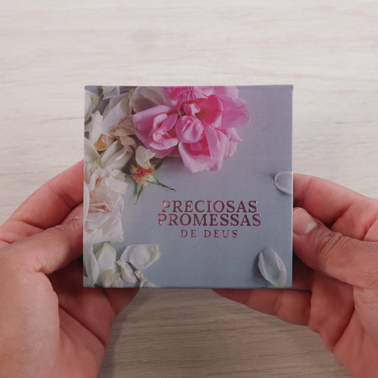 Preciosas Promessas de Deus | Caixinha de Promessas | Azul e Rosa