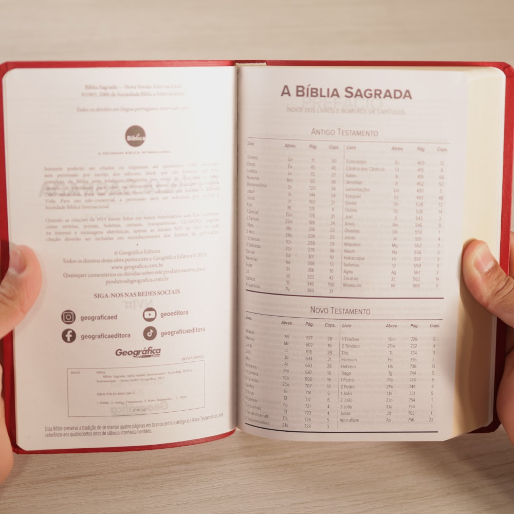 Bíblia Sagrada | NVI | Letra Normal | Capa Luxo Vermelha Fosca