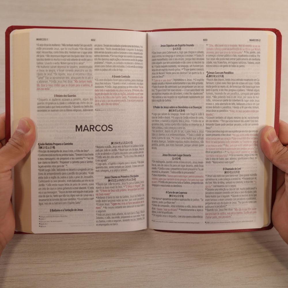 Bíblia Sagrada | NVI | Letra Normal | Capa Luxo Vermelha Fosca