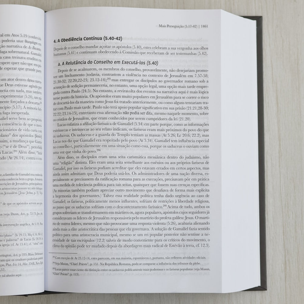 Comentário Exegético Atos | Volume 2 | Craig S Keener
