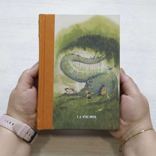 Maravilhosa Terra Dos Snergs | E A Wyke Smith