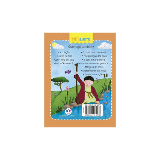 Mini Livro | Histórias da Bíblia | Davi e Golias