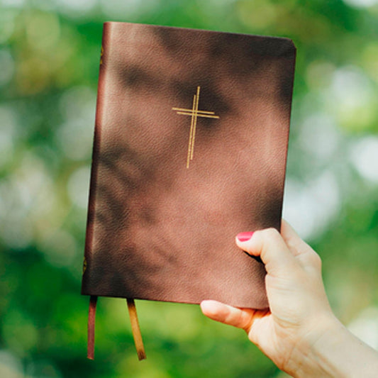 Bíblia Sagrada Slim Livres | NAA | Capa Vinho