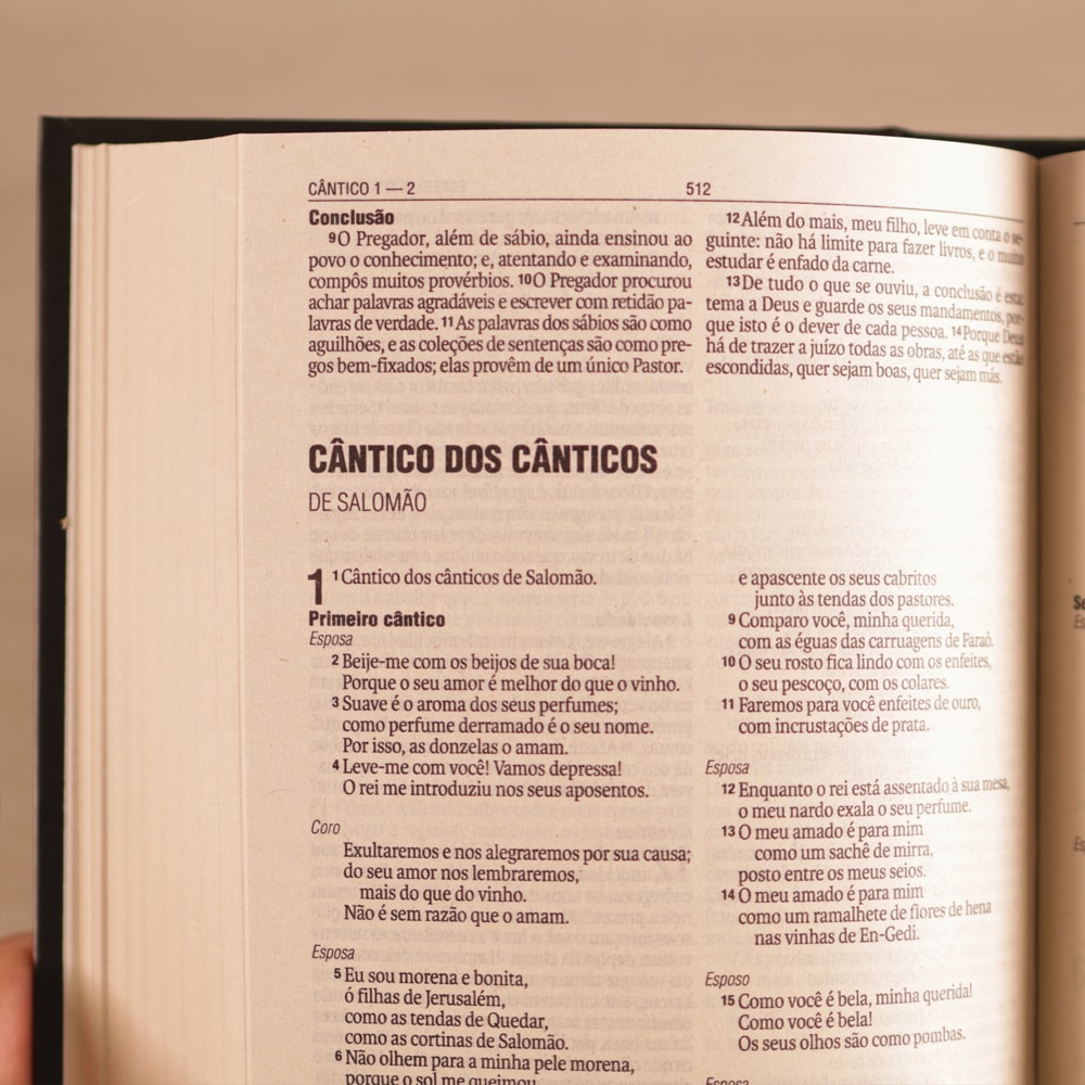 Bíblia Sagrada Deus Amou o Mundo | NAA | Letra Normal | Capa Dura
