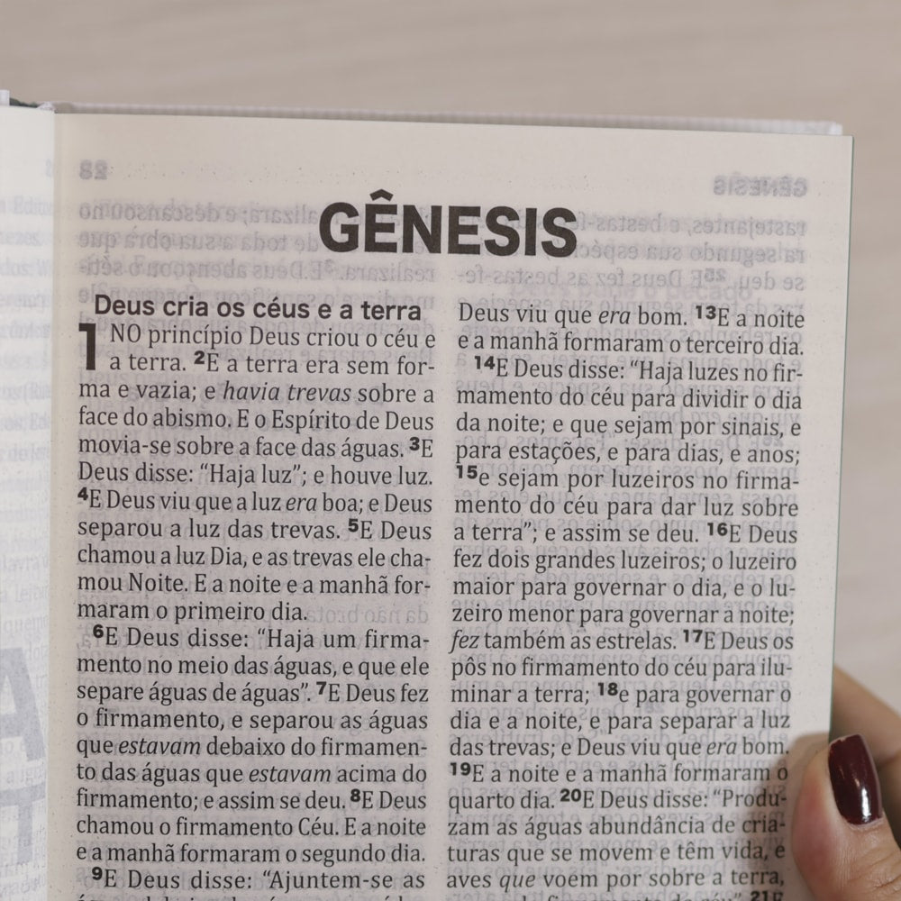 Bíblia Sagrada King James | Letra Extra Grande | Capa Dura Modelo Vida