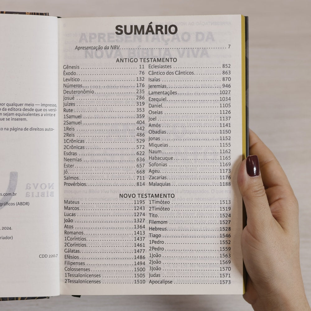 Nova Bíblia Viva | NBV | Letra Extragrande | Capa Criador