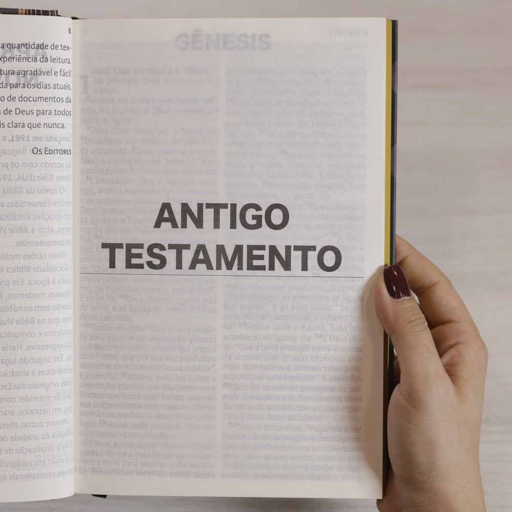 Nova Bíblia Viva | NBV | Letra Extragrande | Capa Criador