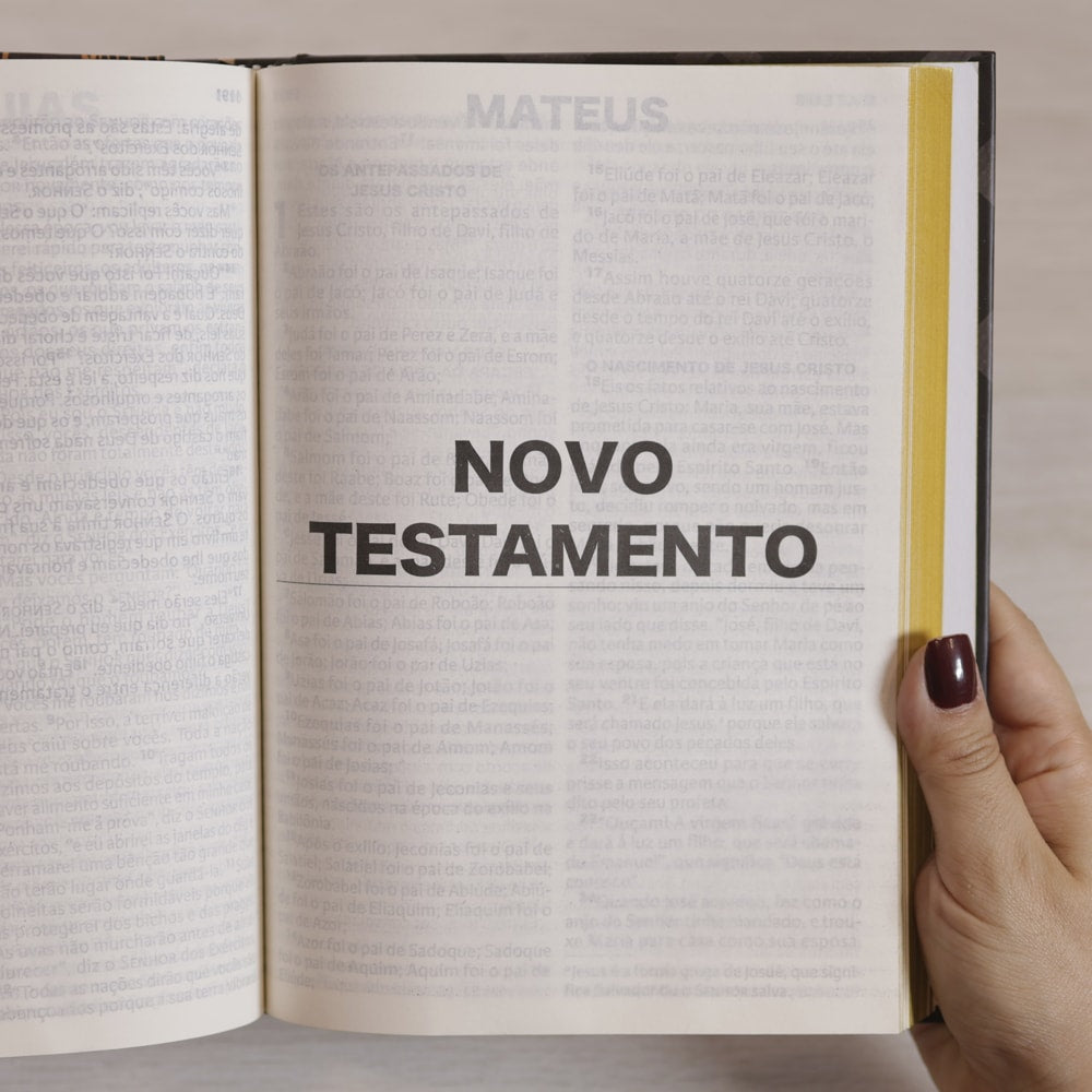 Nova Bíblia Viva | NBV | Letra Extragrande | Capa Criador