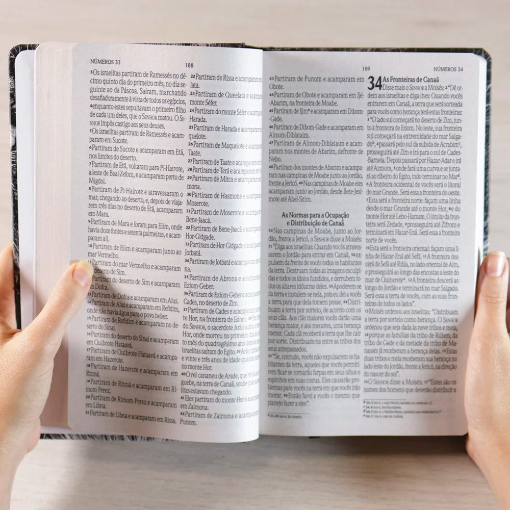 Bíblia Sagrada Leão Yahweh | NVI | Letra Grande | Capa Dura
