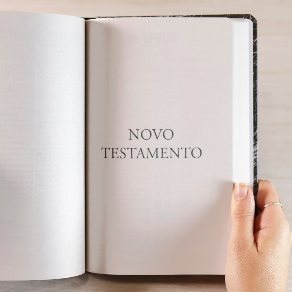 Bíblia Sagrada Leão Yahweh | NVI | Letra Grande | Capa Dura