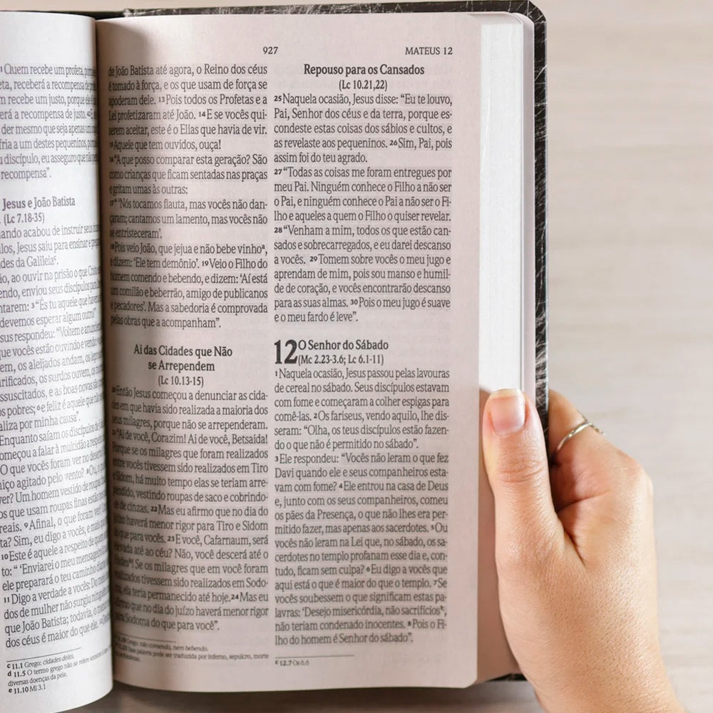 Bíblia Sagrada Leão Yahweh | NVI | Letra Grande | Capa Dura
