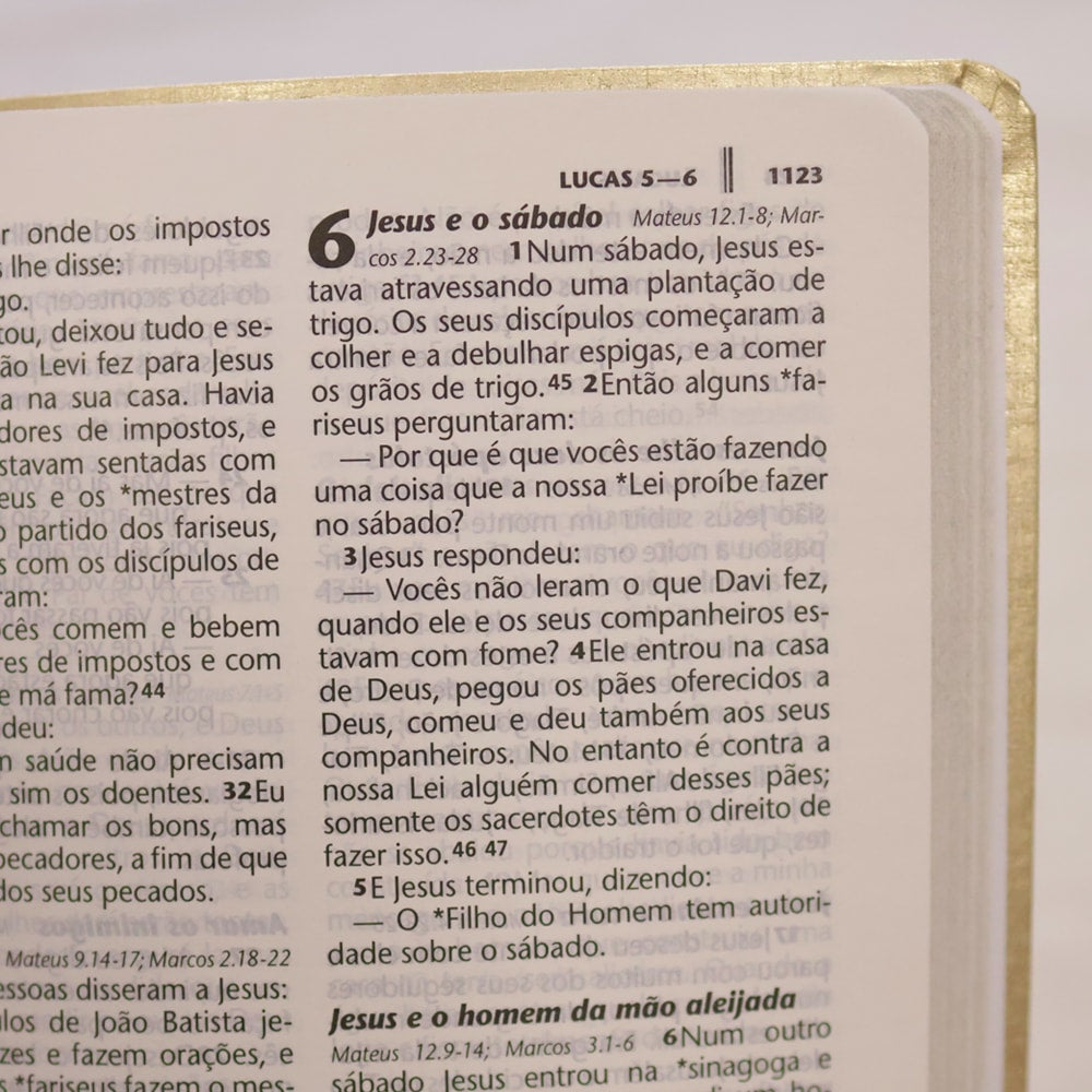 Bíblia Sagrada | NTLH | Letra Grande | Capa Cristal Dourado