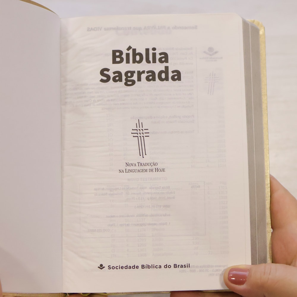 Bíblia Sagrada | NTLH | Letra Grande | Capa Cristal Dourado