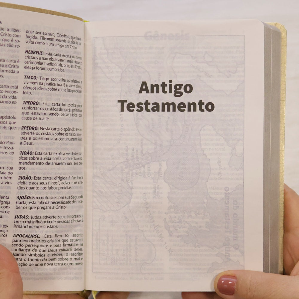 Bíblia Sagrada | NTLH | Letra Grande | Capa Cristal Dourado