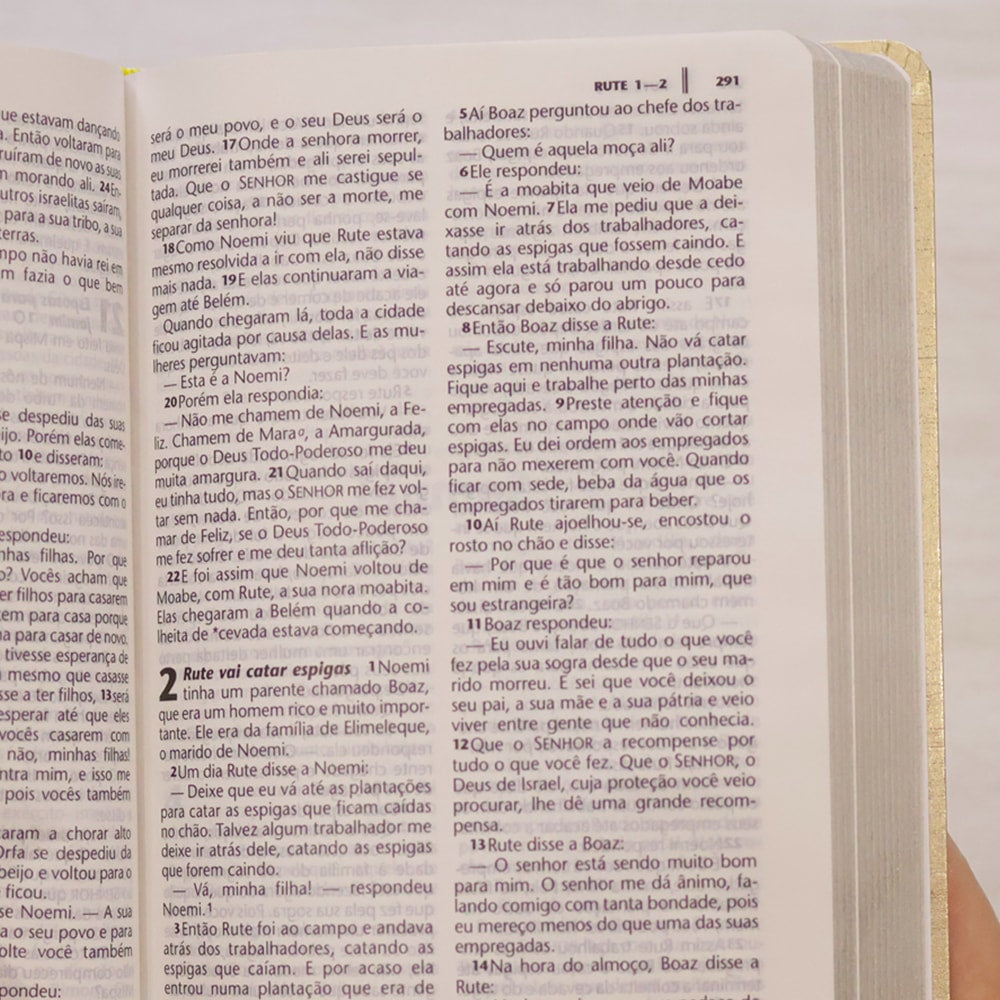 Bíblia Sagrada | NTLH | Letra Grande | Capa Cristal Dourado