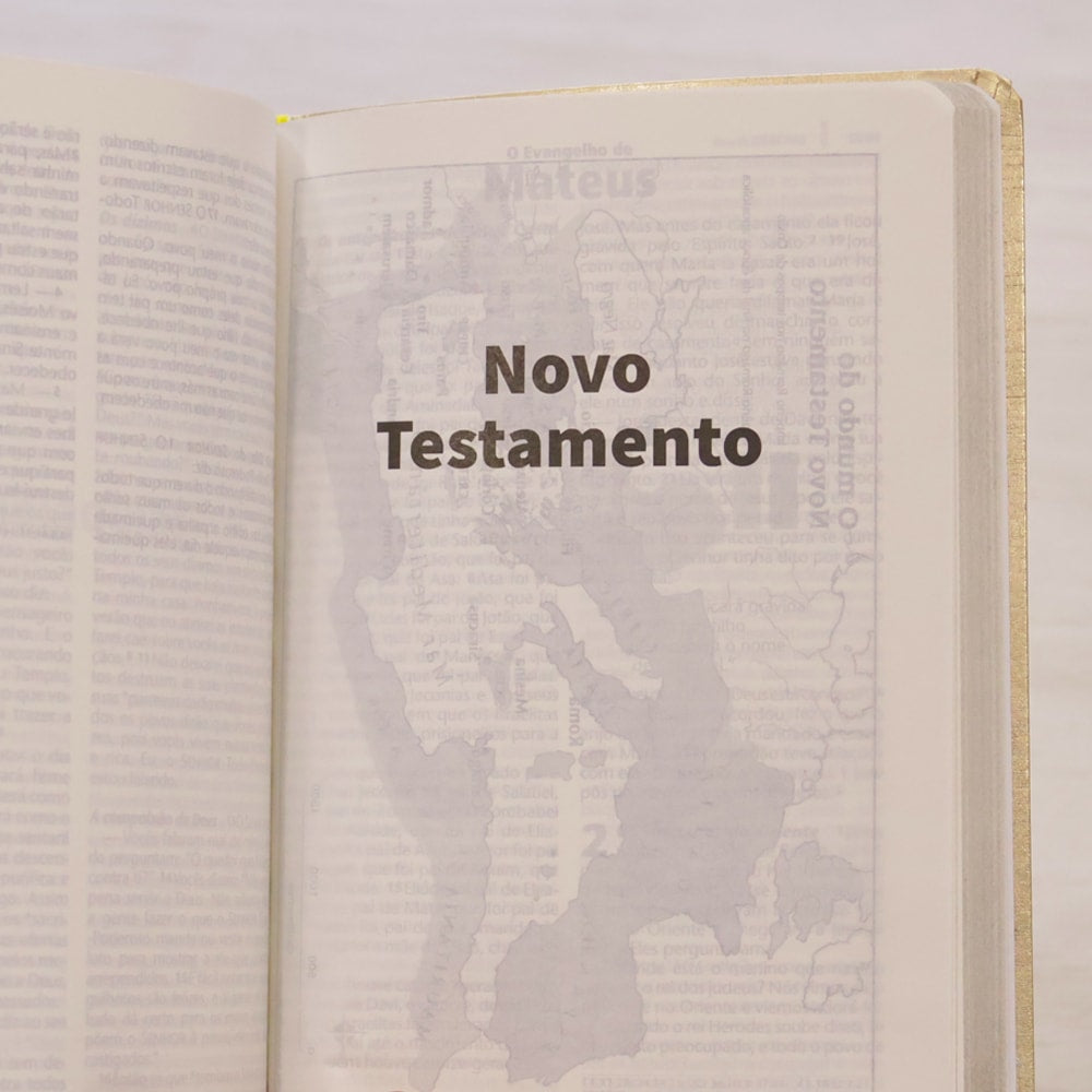 Bíblia Sagrada | NTLH | Letra Grande | Capa Cristal Dourado