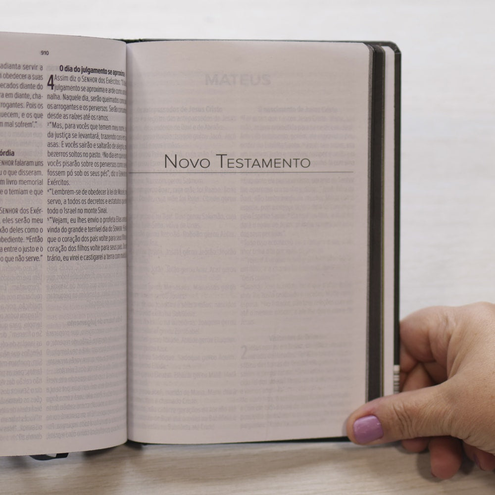 Bíblia Sagrada Cruz Jesus Cristo | NVT | Letra Grande | Capa Dura