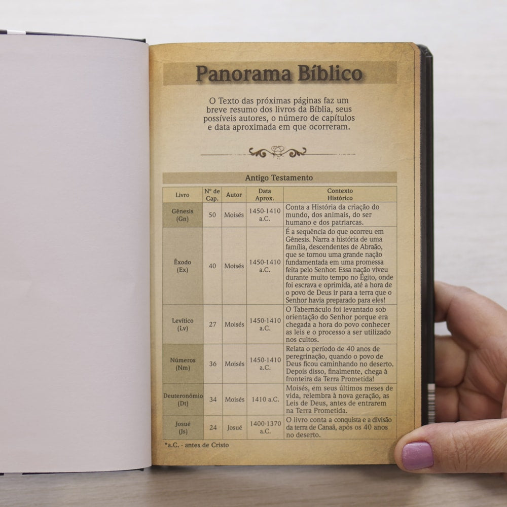 Bíblia Sagrada Cruz Jesus Cristo | NVT | Letra Grande | Capa Dura