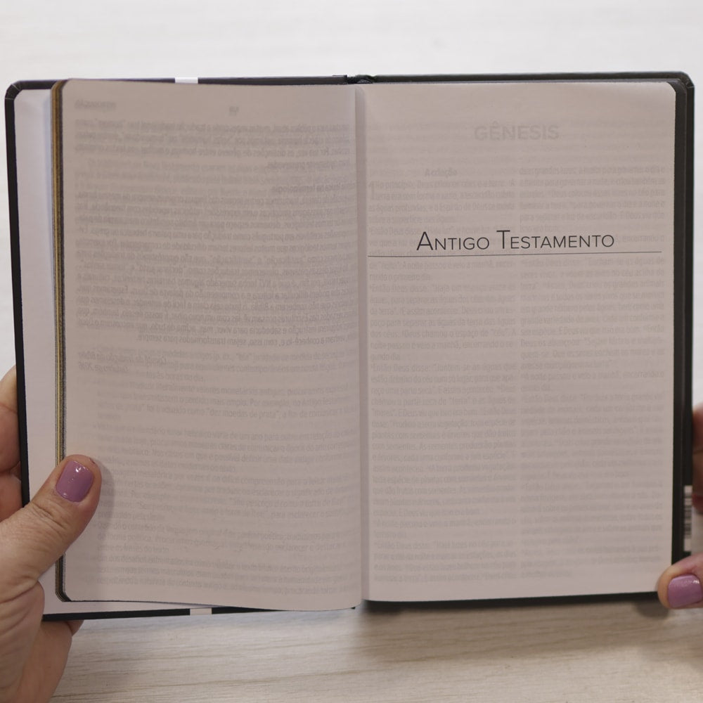 Bíblia Sagrada Cruz Jesus Cristo | NVT | Letra Grande | Capa Dura