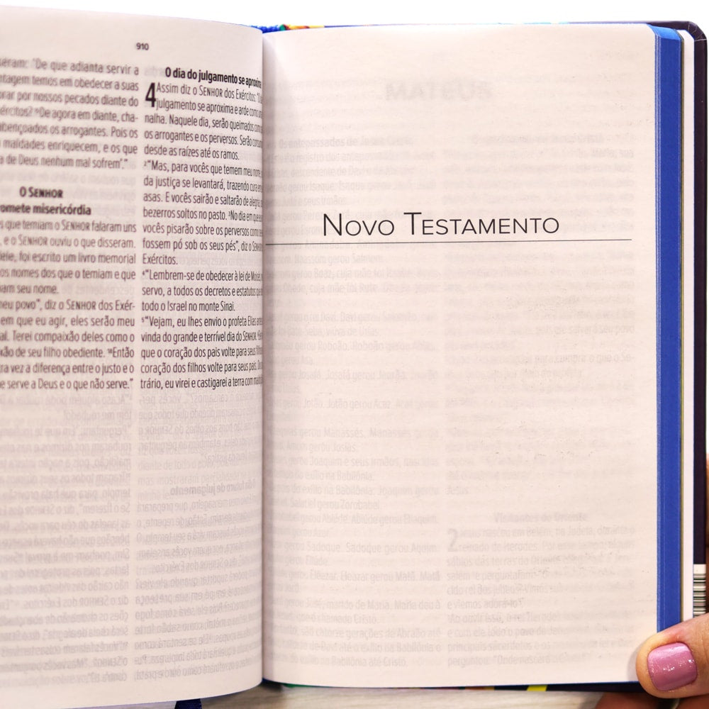 Bíblia Sagrada Lion Colors | NVT | Letra Grande | Capa Dura